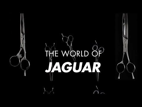 JAGUAR